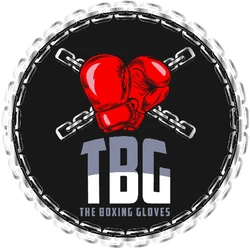 The Boxing Gloves logo